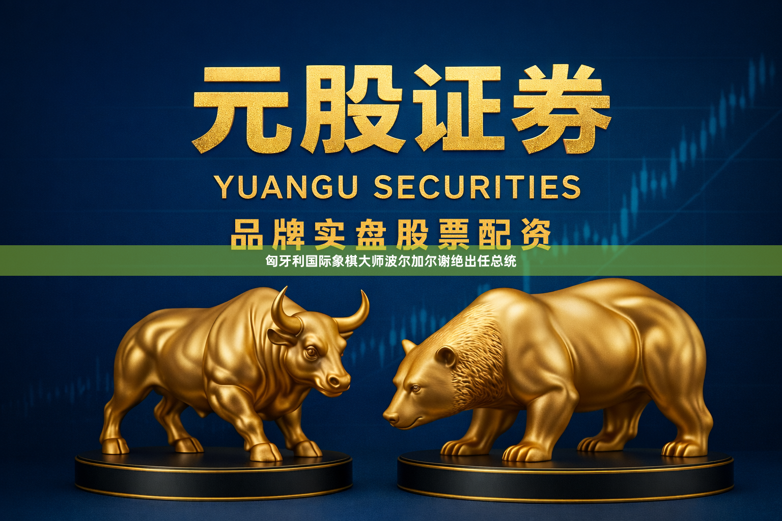 匈牙利国际象棋大师波尔加尔谢绝出任总统
